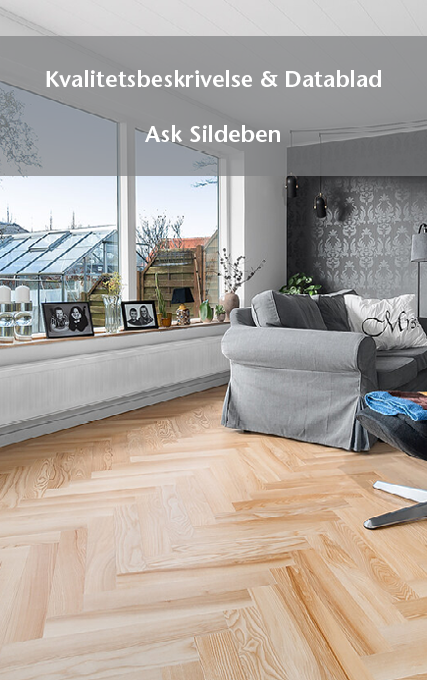 Ask sildeben datablad